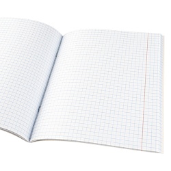 тетрадь предметная  48л кл алгебра "про хвост" 