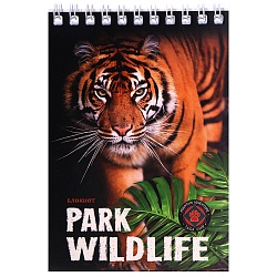 Блокнот А6  40л "Дикие коты" ассорти,  на гребне