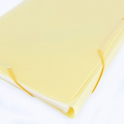 папка на резинке а4 13 отделений ice жёлтая