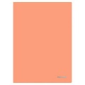 Папка-уголок А4 180мкм, цвет персиковый