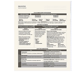 тетрадь предметная  48л кл биология "bad cat" 
