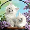 алмазная  живопись "darvish" 30*30см  белые котята