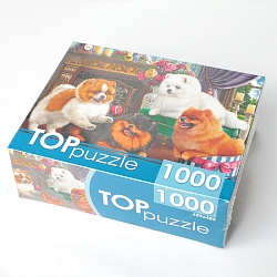 пазлы 1000 элементов игривые шпицы