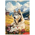 Пазлы  500 элементов Собака в горах