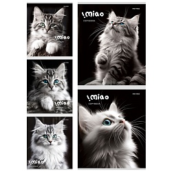 тетрадь  48л кл. "чёрно-белые котики" обложка цветная мелованная