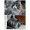 альбом для рисования 48л. склейка "взгляд котёнка"