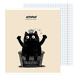тетрадь предметная  48л кл история "bad cat" 