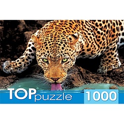 пазлы 1000 элементов красивый леопард