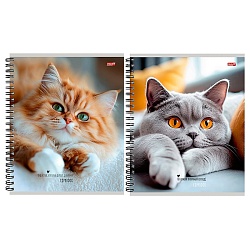 тетрадь  48л кл. на гребне "милые коты-1