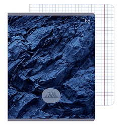 тетрадь  48л кл. "детали природы" обложка картон (эконом)