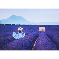 алмазная живопись  40*50см  лавандовое поле