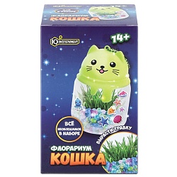 опыты выращивание растений флорариум кошка