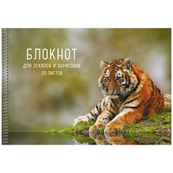 альбом для рисования 20л. "тигр" на гребне обложка мел. картон
