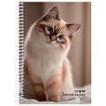Книжка записная  А5  80л "Милые коты-7" на спирале