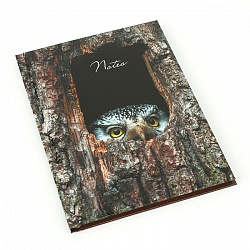 книга для записей а6 48л owl обложка глянцевая ламинация