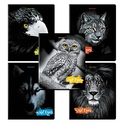 тетрадь  48л кл. "wild eyes" обложка картон выбор. лак