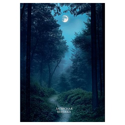 книжка записная  а6  96л "лунные пейзажи-1" обложка цвет. ламинир 7бц