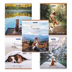 тетрадь  48л кл. "best friends" обложка картон