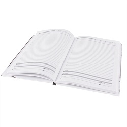 ежедневник недатированный  а5  80л. "дымящий поезд" 