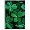 книжка записная  а6  48л "счастливый клевер" 7бц, глянц.лам.