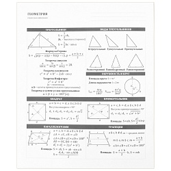 тетрадь предметная  48л кл геометрия "bad cat" 