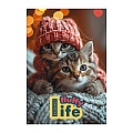 Блокнот А5  32л "Котята"  на гребне