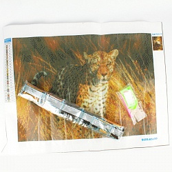 алмазная живопись 50*65см - леопард