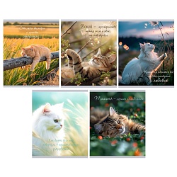 тетрадь  48л кл. "расслабься" обл. мелов. картон глянцевая ламинация