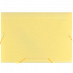 папка на резинке а4 13 отделений ice жёлтая
