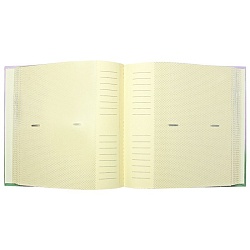 фотоальбом 200 фото 10*15см  "darvish" с рамкой для фото на обложке