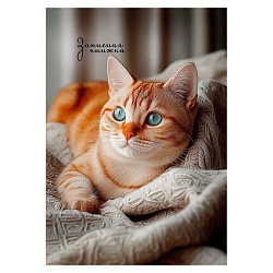 книжка записная  а6  64л "фото котика-2" 7бц, глянц.лам.