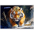 Альбом для рисования 40л. склейка "Дикие кошки"