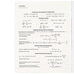 тетрадь предметная  48л кл алгебра "самоцвет" твин-лак