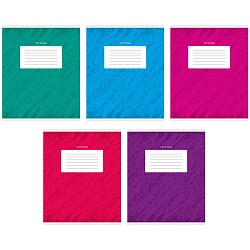 тетрадь  24л линейка  цв. обл "штрихи" 