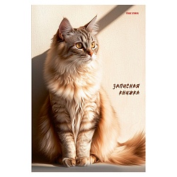 книжка записная  а5  80л "рыжий кот в лучах солнца" 7бц