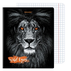 тетрадь  48л кл. "wild eyes" обложка картон выбор. лак