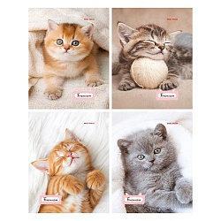 Блокнот А6  24л "Милые котята-1" ассорти,  на скрепке