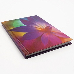 книга для записей а6 (110*145) 64л вдохновение! обложка ламинация chameleon