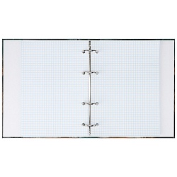 тетрадь на кольцах 100л  "лев под дождем"