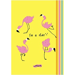 Блокнот А6  48л "Фламинго" лак, на гребне