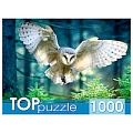 Пазлы 1000 элементов Полёт совы