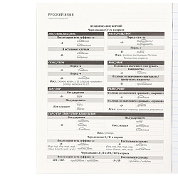 тетрадь предметная  48л лин русский язык "bad cat" 