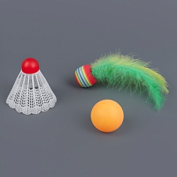 бадминтон в наборе (воланчик, мячик+ракетки) 