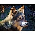 Алмазная  живопись   "Darvish" 30*40см Волк