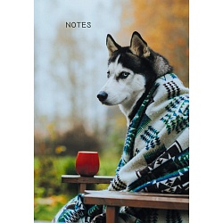 книга для записей а5 100л осенний друг обложка глянцевая ламинация