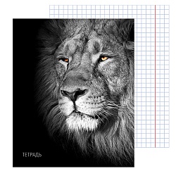 тетрадь  40л кл "лев" обл. мел. кар