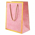 Пакет подарочный 23*18*10см "Darvish" ассорти цветной с золотой рамкой 