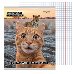 тетрадь  48л кл. "коты-мемы" обложка цветная мелованная