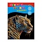 бумага цветная волшебная  а4 10л. 10цв. "золотой леопард"
