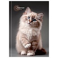 Книжка записная  А5 160л "Красивый кот" 7БЦ